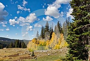 Near Big Creek Campground